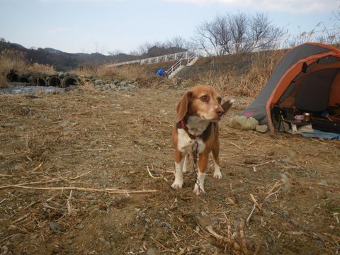 f0046250_144715.jpg