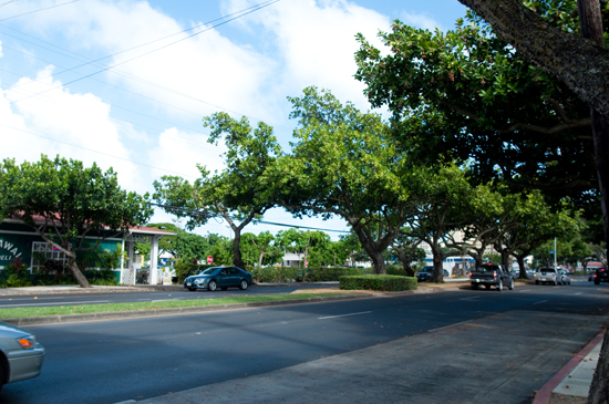 e0122156_2238852.jpg
