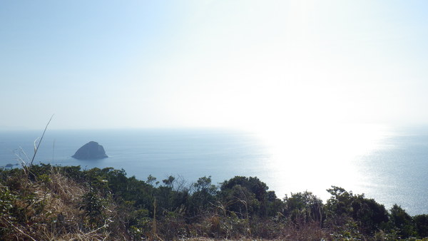 a0112066_16361774.jpg