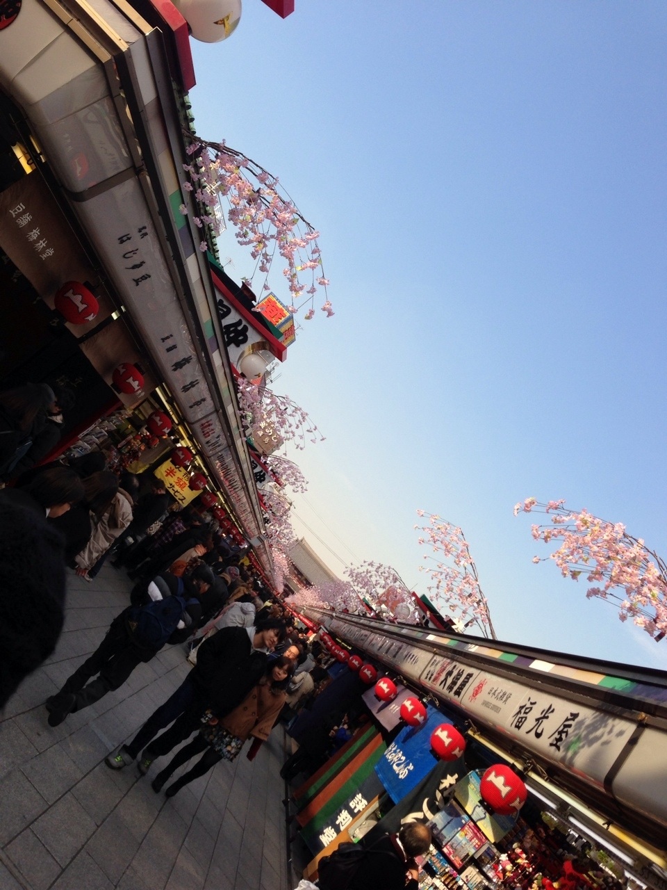 f0048168_750898.jpg