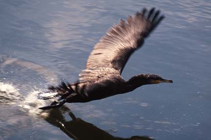 a0121671_23391466.jpg