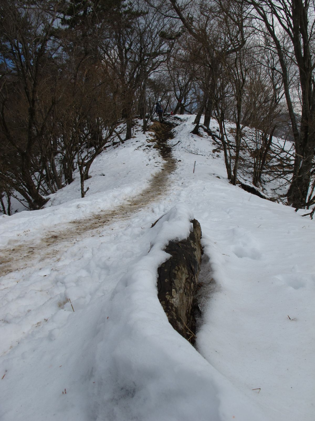 e0307372_125650.jpg