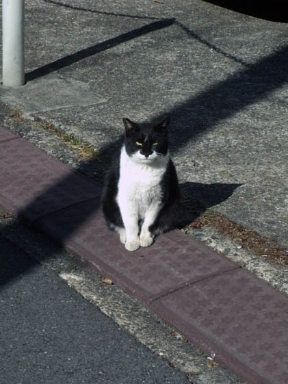 e0112077_7493572.jpg
