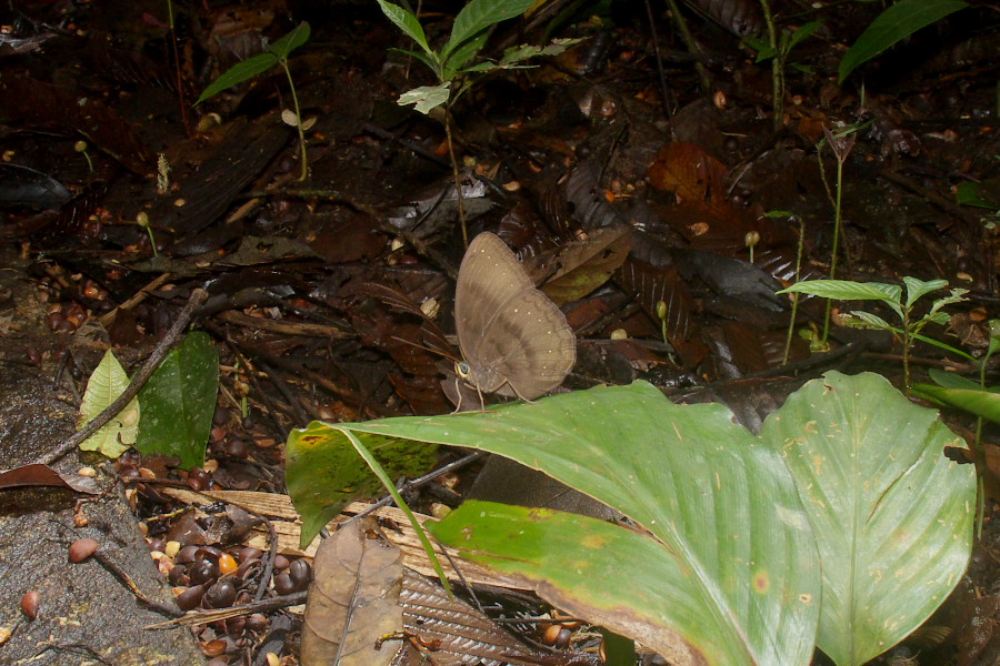 f0090680_2131324.jpg