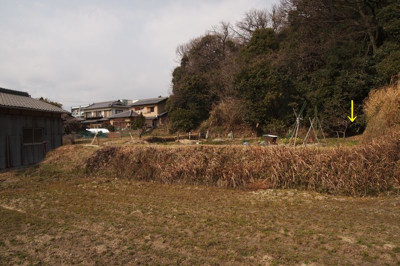 b0108186_1813850.jpg