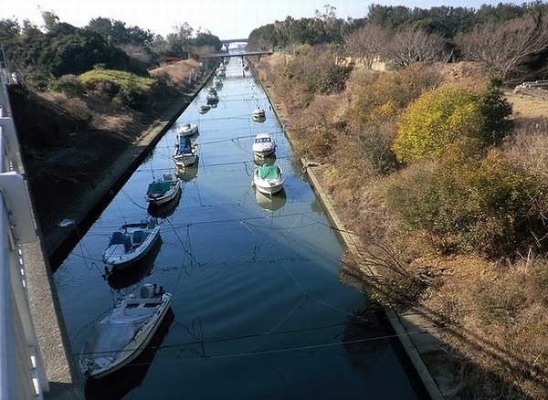 e0143690_7361186.jpg