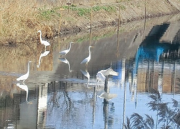 e0143690_7383941.jpg
