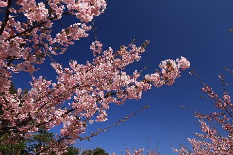 a0222494_1613157.jpg