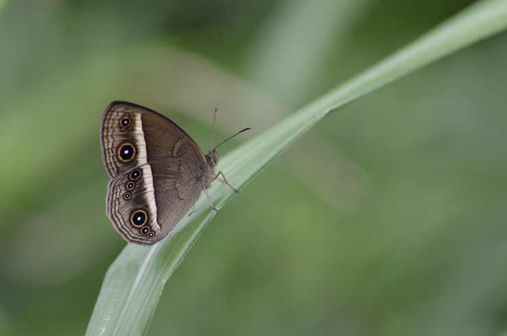 a0277496_9343710.jpg