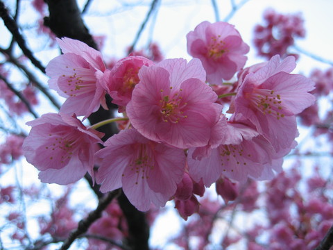 f0201297_837485.jpg
