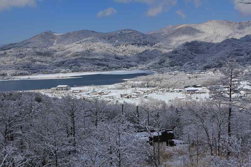 a0188405_10233561.jpg