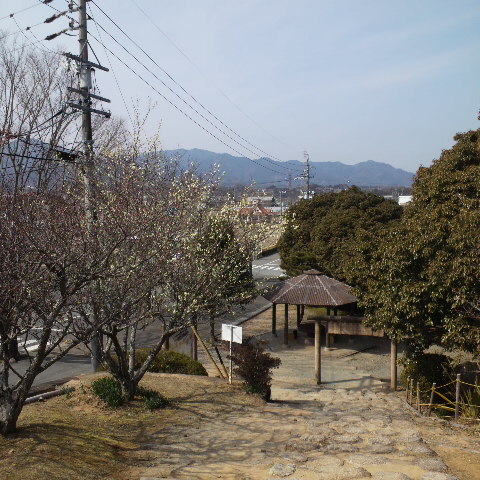 e0099212_21155460.jpg
