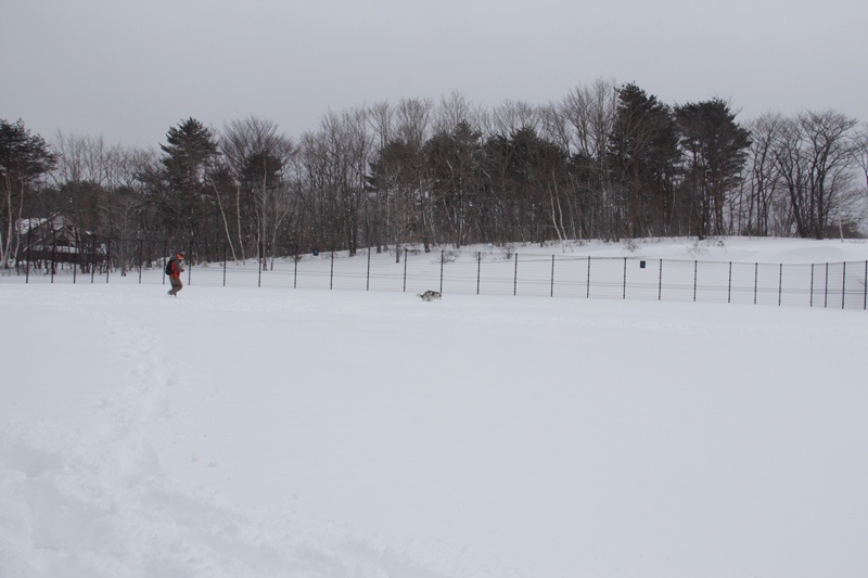 b0207615_22175870.jpg