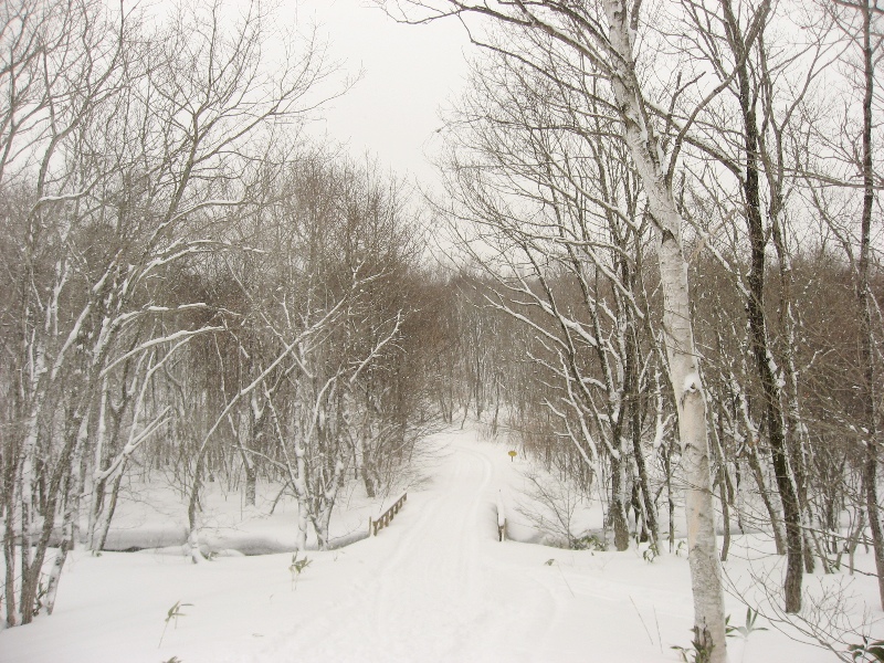 b0207615_2271485.jpg