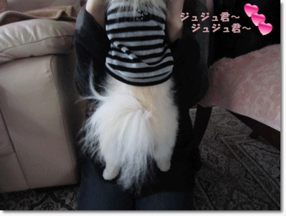 b0167519_10555162.gif