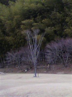 f0036223_23451029.jpg