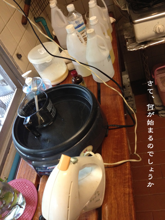 d0042827_15225314.jpg