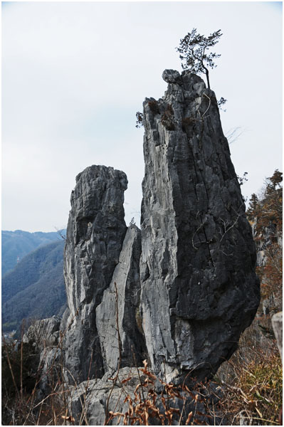 d0029829_2343630.jpg
