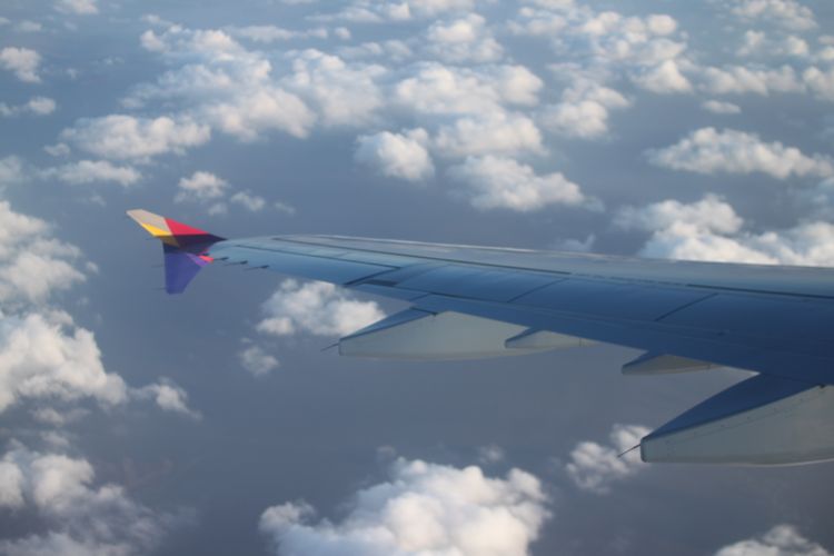 d0148729_20305657.jpg