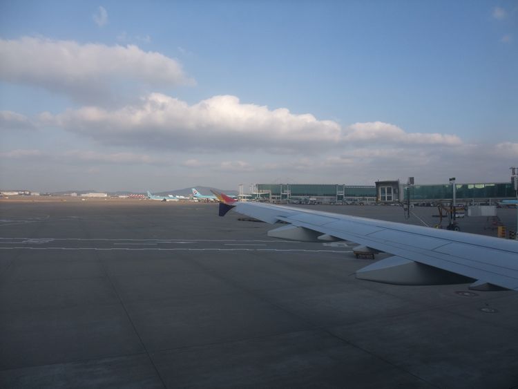 d0148729_20323586.jpg
