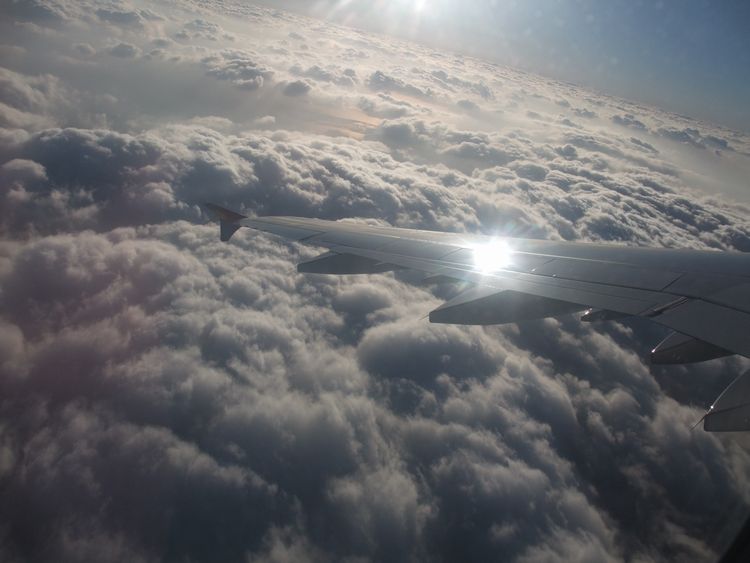 d0148729_2044176.jpg