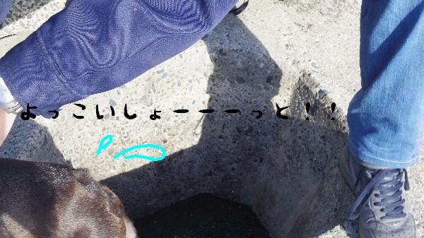 e0103831_15331197.jpg