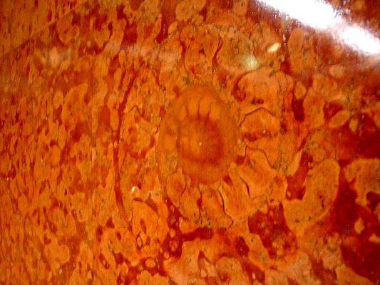 e0119840_21461929.jpg