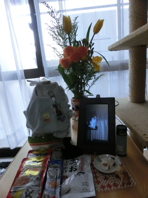 c0194042_21842100.jpg