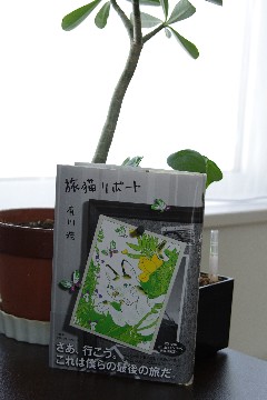 f0045846_10261924.jpg
