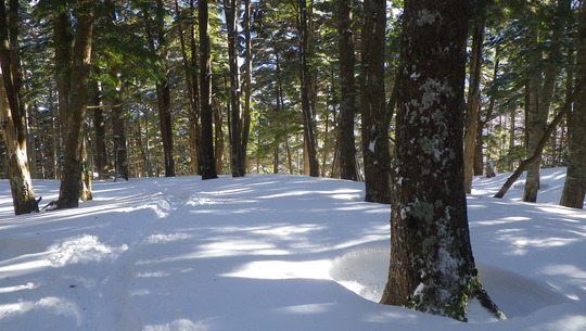 c0042847_934480.jpg