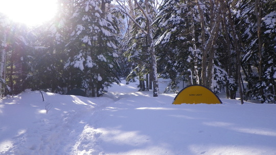 c0042847_935286.jpg