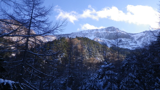 c0042847_9375719.jpg