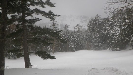 c0042847_9494319.jpg
