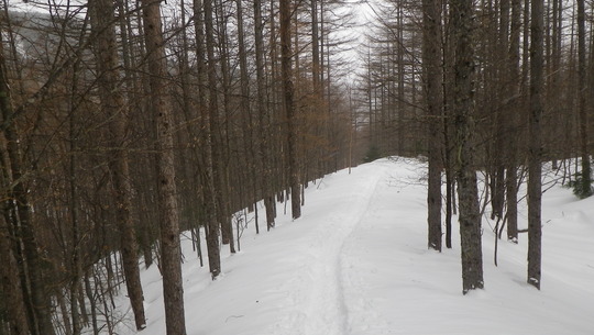 c0042847_952317.jpg