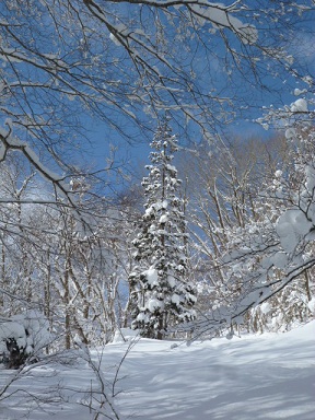 b0203758_16395343.jpg