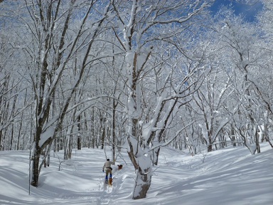 b0203758_16424680.jpg