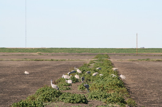c0115366_21481036.jpg