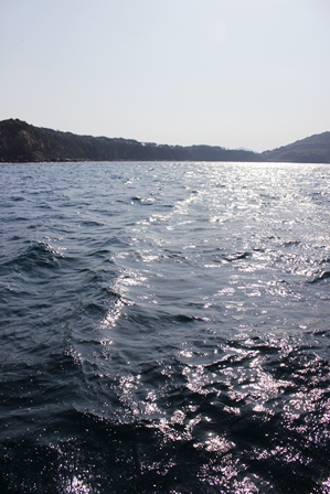 f0207669_14214843.jpg