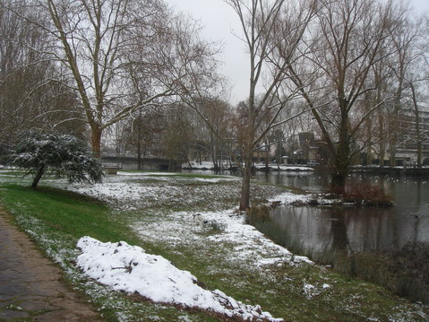 a0247585_5272215.jpg