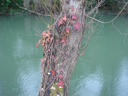 a0247585_5315395.jpg