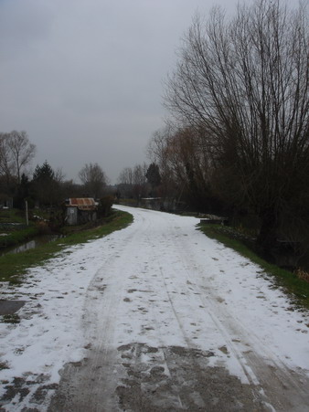 a0247585_5325181.jpg