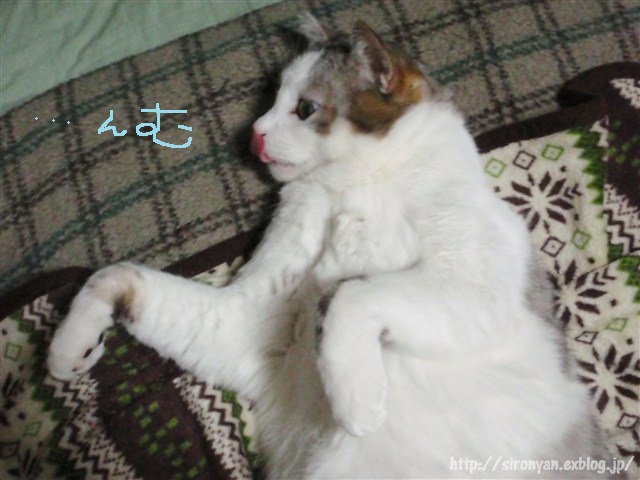 a0159490_11455587.jpg