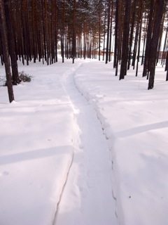 e0250594_053148.jpg