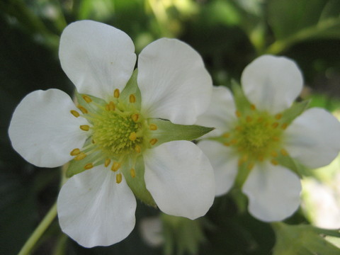 f0201297_7595569.jpg