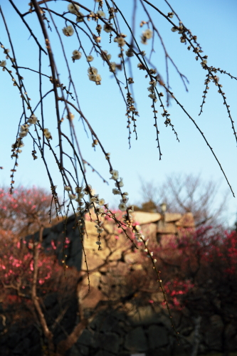 c0129498_2123227.jpg