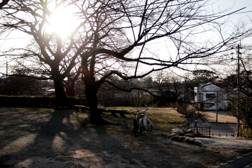 c0129498_2124172.jpg