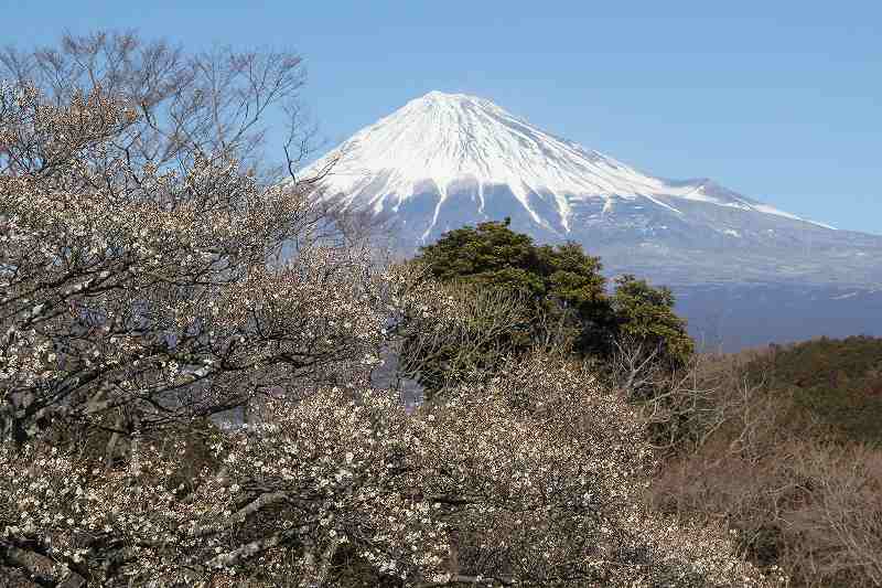 a0188405_2257718.jpg