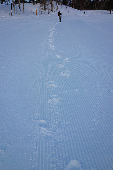 a0148606_1754915.jpg