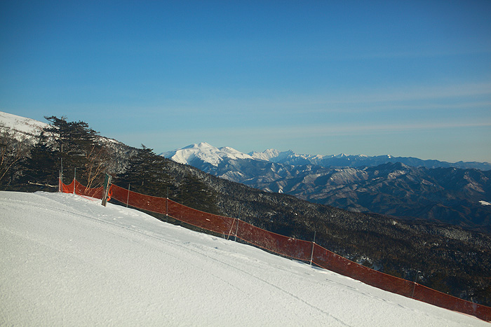 a0148606_17552789.jpg