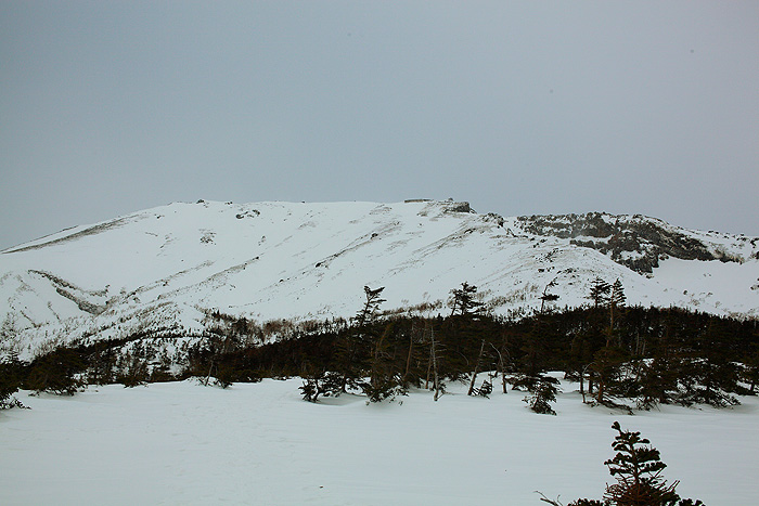 a0148606_17564850.jpg